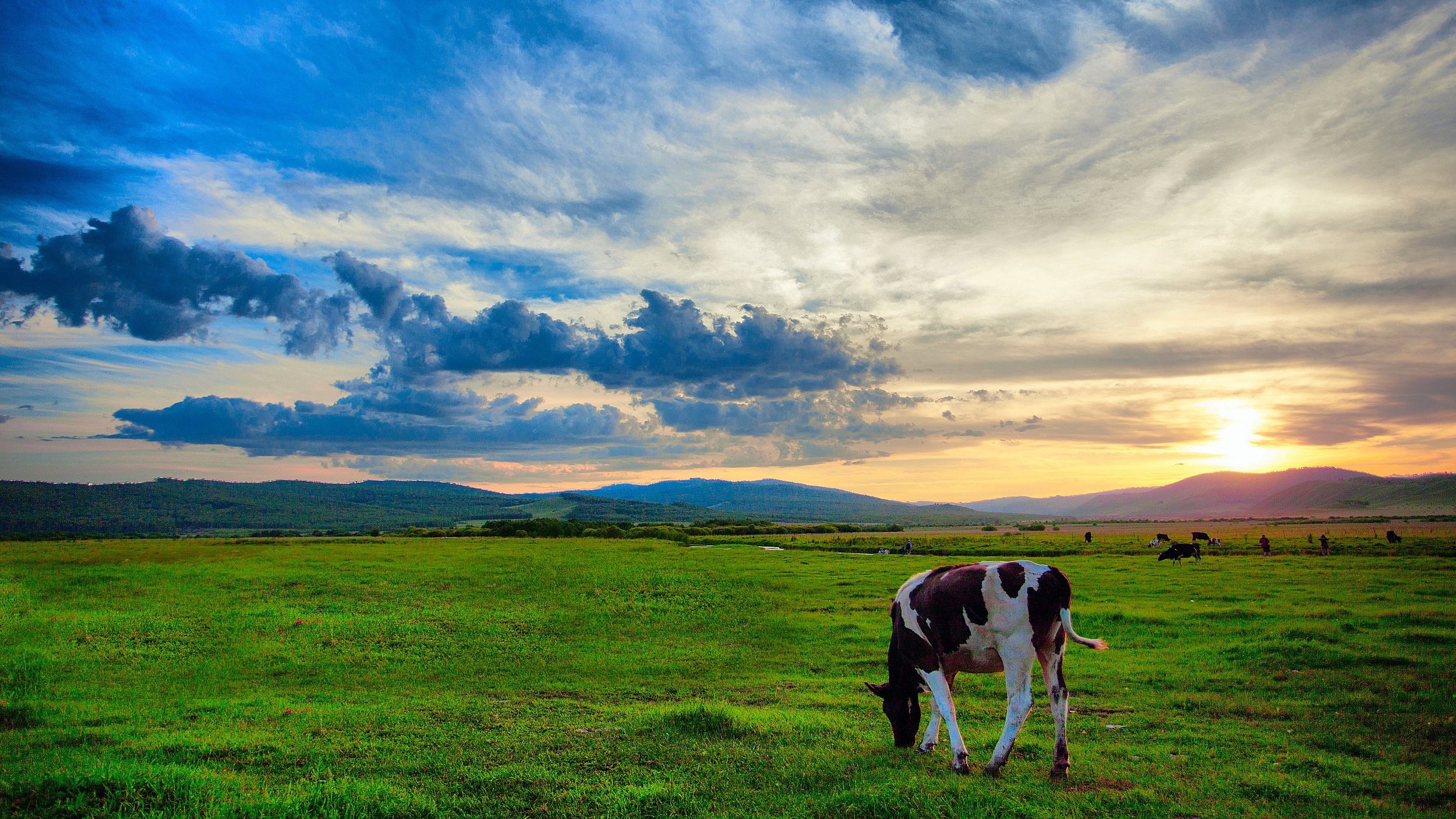 呼伦贝尔之行，深度体验与感悟
