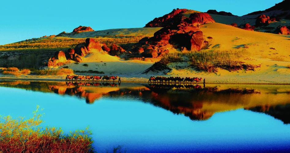 赤峰技能学习攻略,从入门到精通全步骤解析