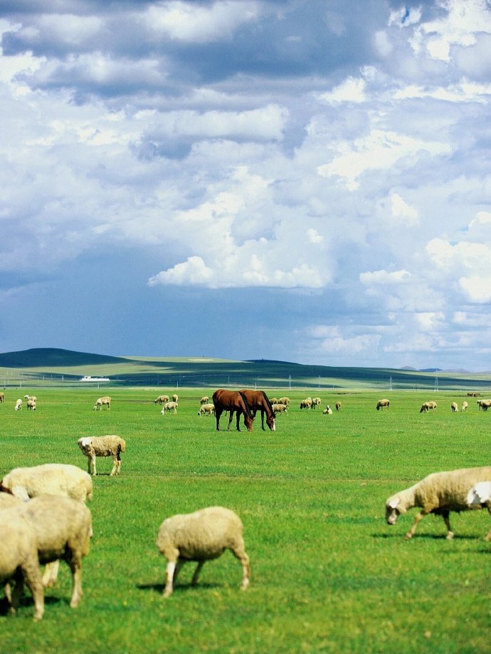 呼伦贝尔深度游全攻略，初学者必看旅游指南